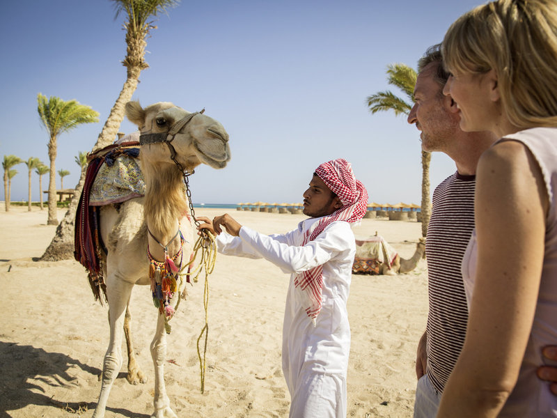 ROBINSON SOMA BAY 5 - Beach