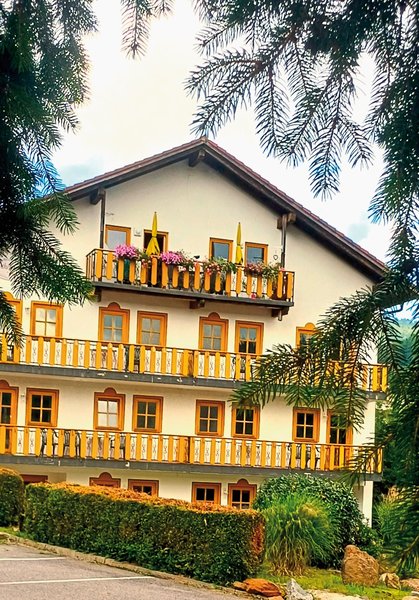 Das Arber-Hotel am Rothbach 4