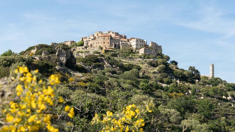 Calvi Hotel 21 - Sports and leisure