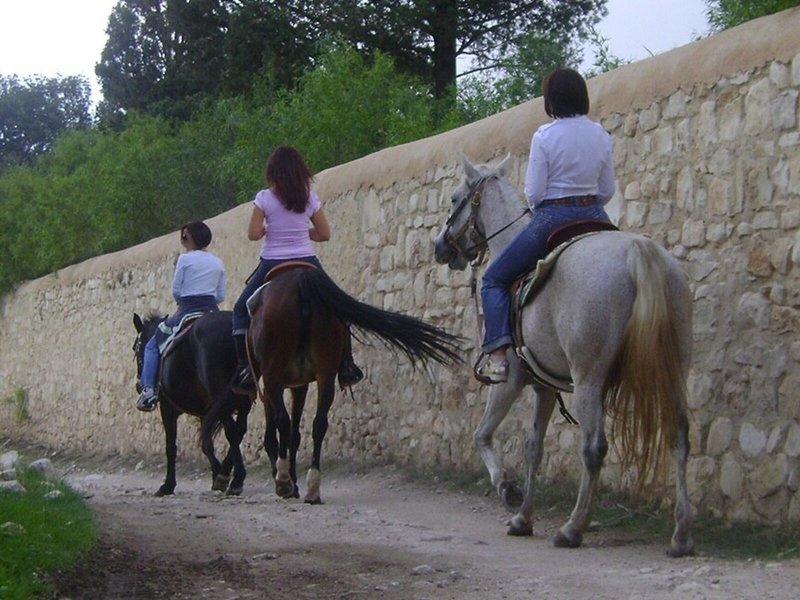 Casato Licitra 7