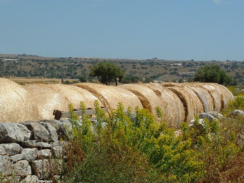 Casato Licitra 10