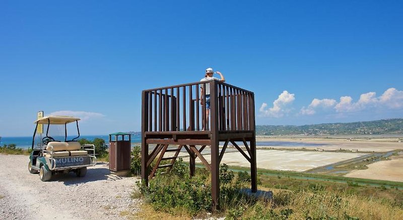 Casino Mulino 2