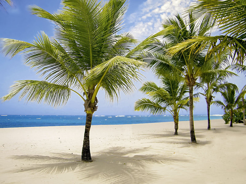 Viva Heavens by Wyndham, A Trademark All Inclusive 4