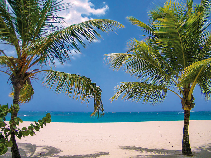 Viva Heavens by Wyndham, A Trademark All Inclusive 10