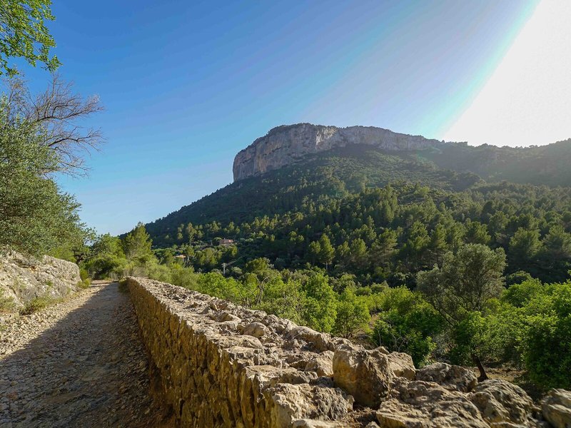 S´Olivaret Rural 9