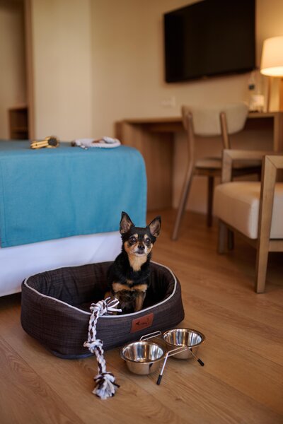 PortBlue S´Algar Hotel - Erwachsenenhotel 120