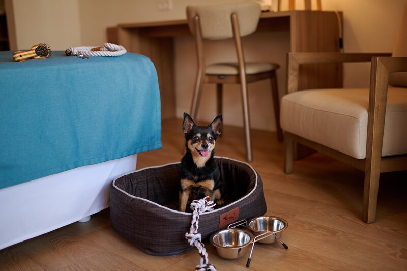 PortBlue S´Algar Hotel - Erwachsenenhotel 121