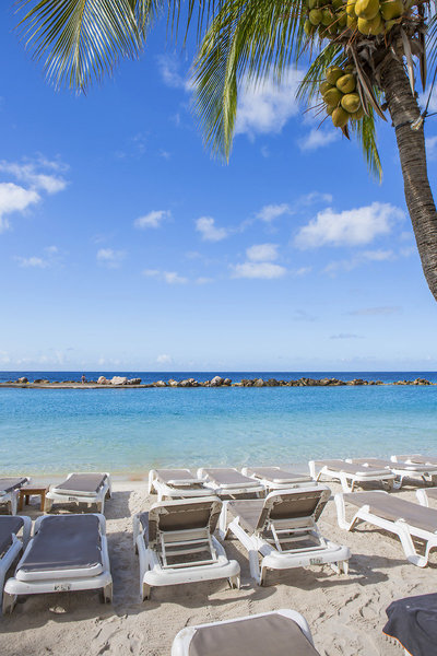 Dolphin Suites 9