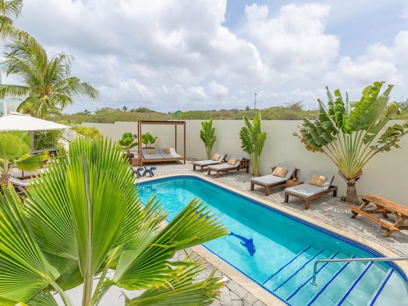 Dolphin Suites 14