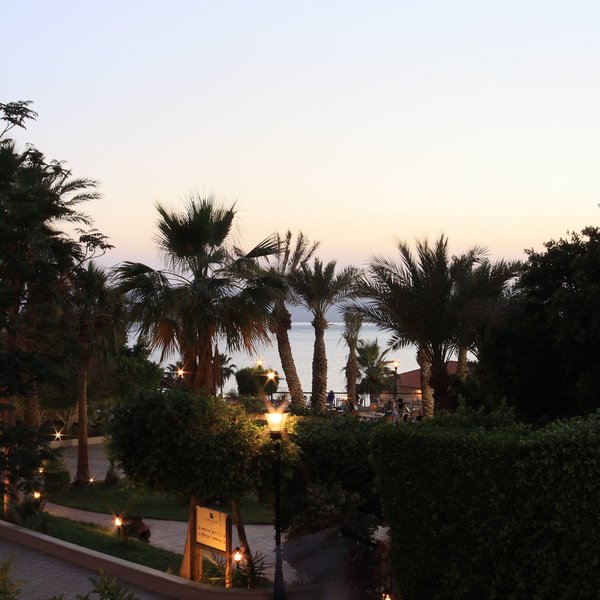 Dead Sea Spa Resort 29