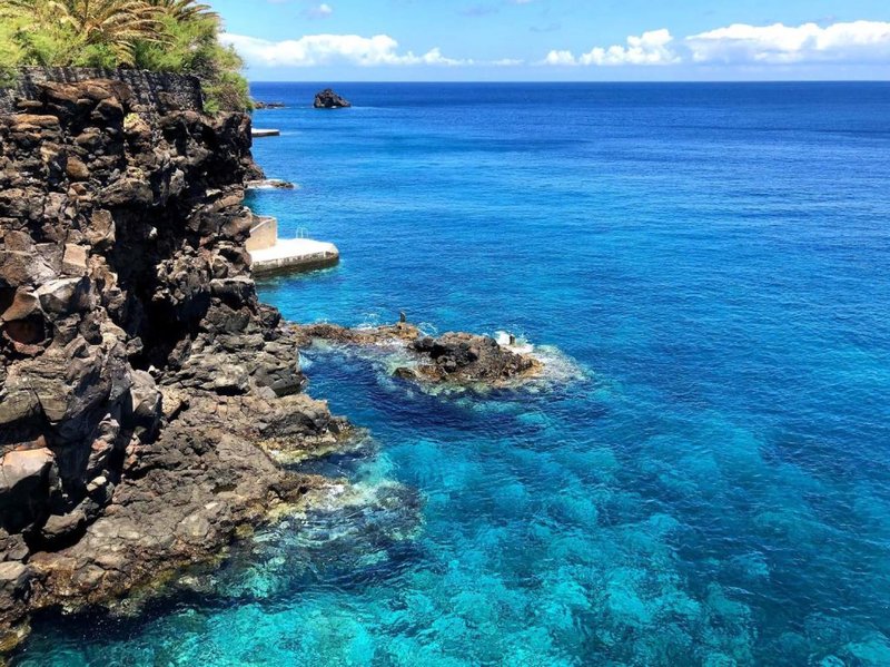 Albatroz Beach & Yacht Club 9