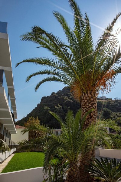 Samian Mare Hotel, Suites & Spa 39