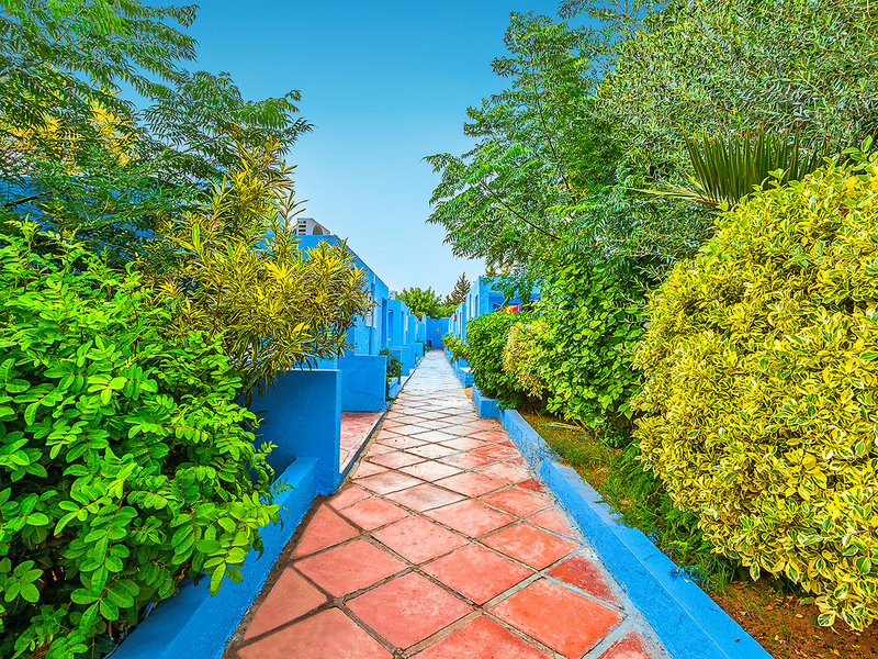 Samira Club 11