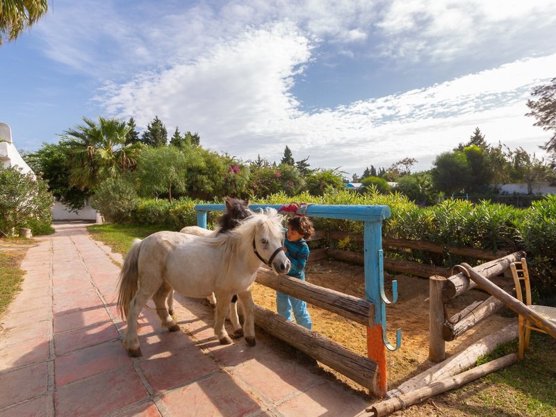 Samira Club Spa & Aquapark 31