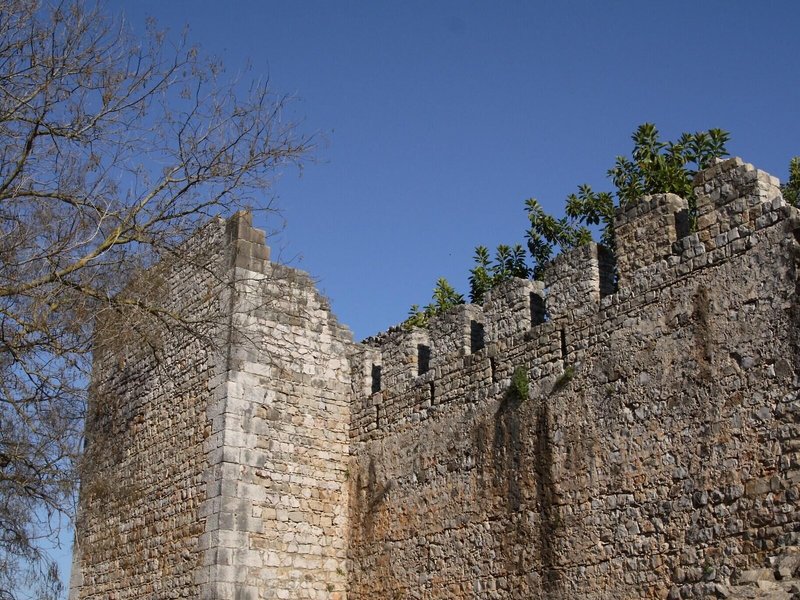 Golden Club Cabanas 4