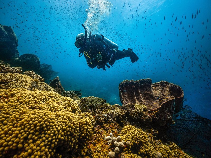 Sandals Regency La Toc 39