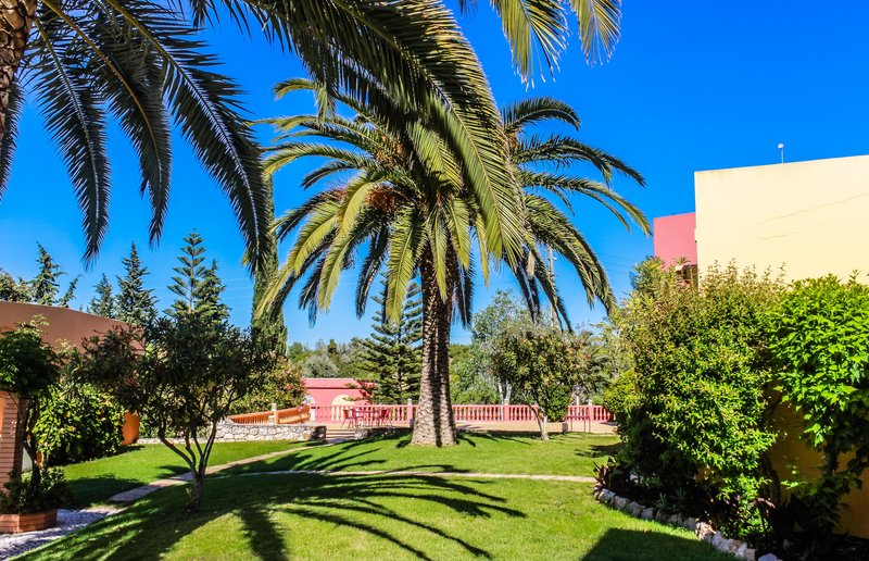 Colina Village 11