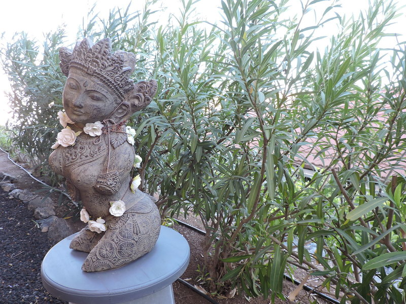 Santa Ana - Erwachsenenhotel 13 - Health & Beauty