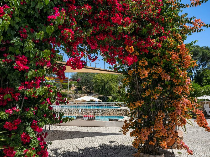 Quinta Do Paraiso 9 - Landscape