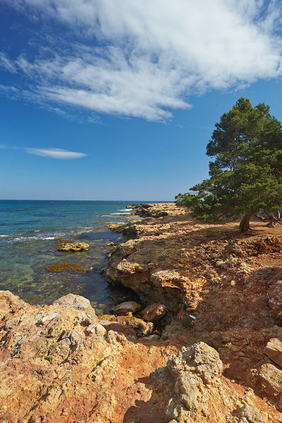 Grupotel Santa Eulària & Spa 3