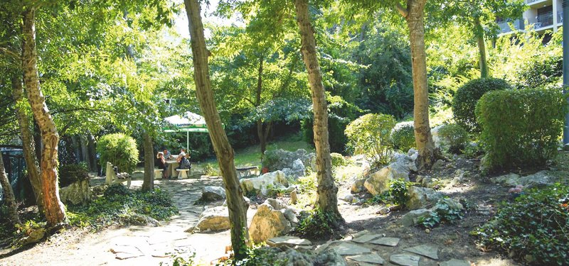 Kristal Goldstrand 2