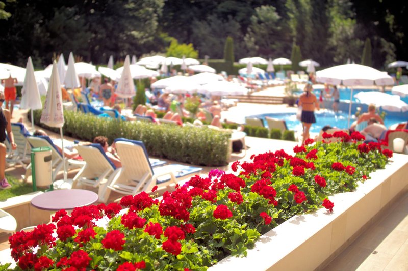 Kristal Goldstrand 6