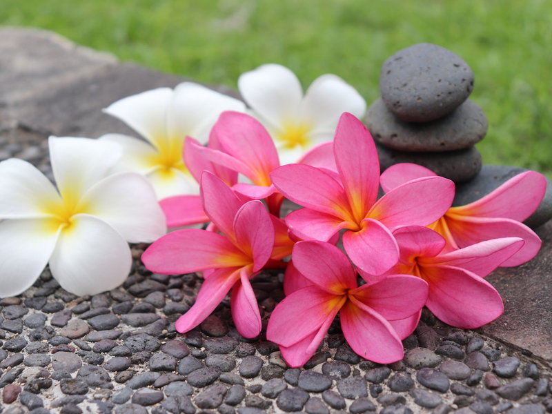 Prama Sanur Beach Bali 39