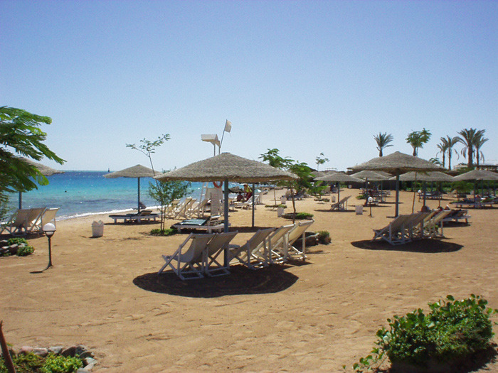 Sea Garden 2