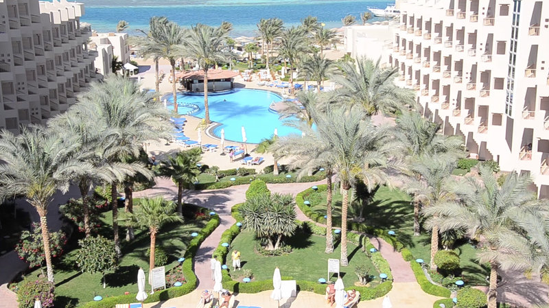 Sea Star Beau Rivage 6