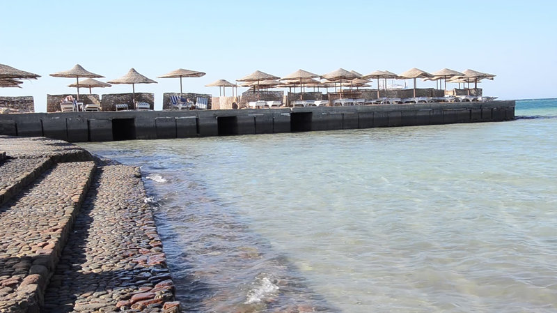 Sea Star Beau Rivage 12