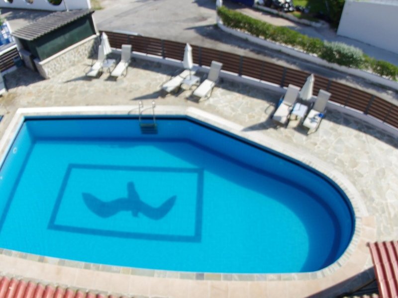 Hotel Seabird 9