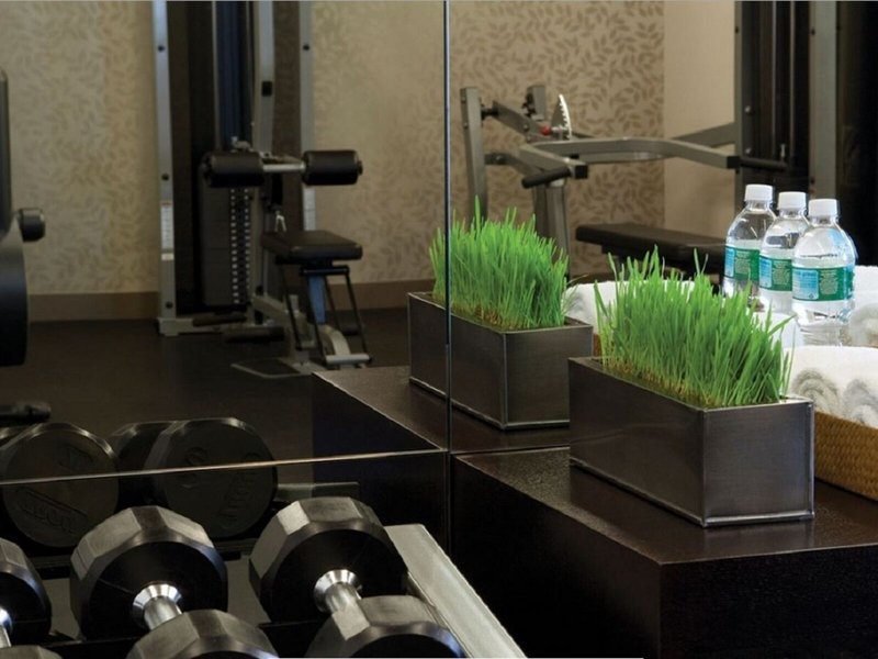 The Shelburne Sonesta New York 15