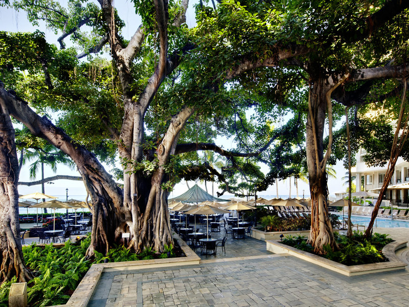 Moana Surfrider, A Westin Resort & Spa 13
