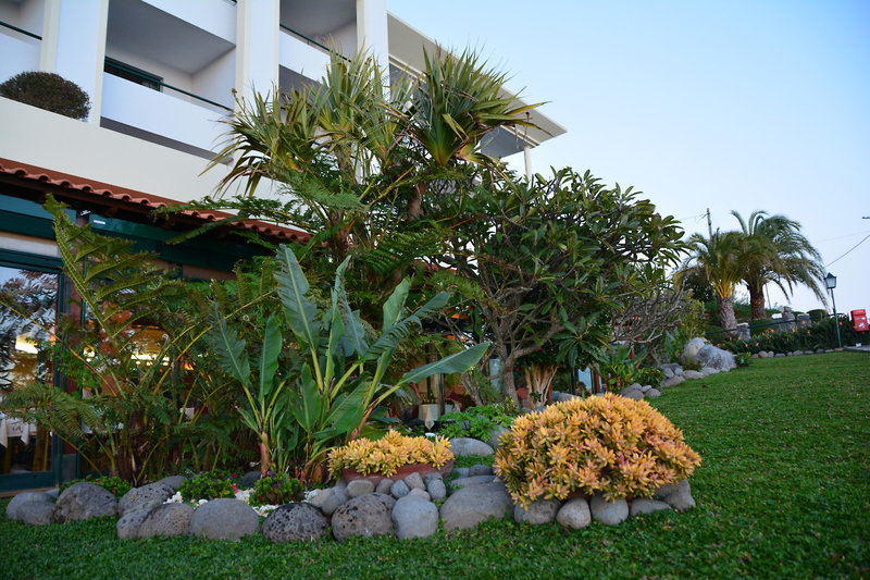 Jardim Atlantico 7