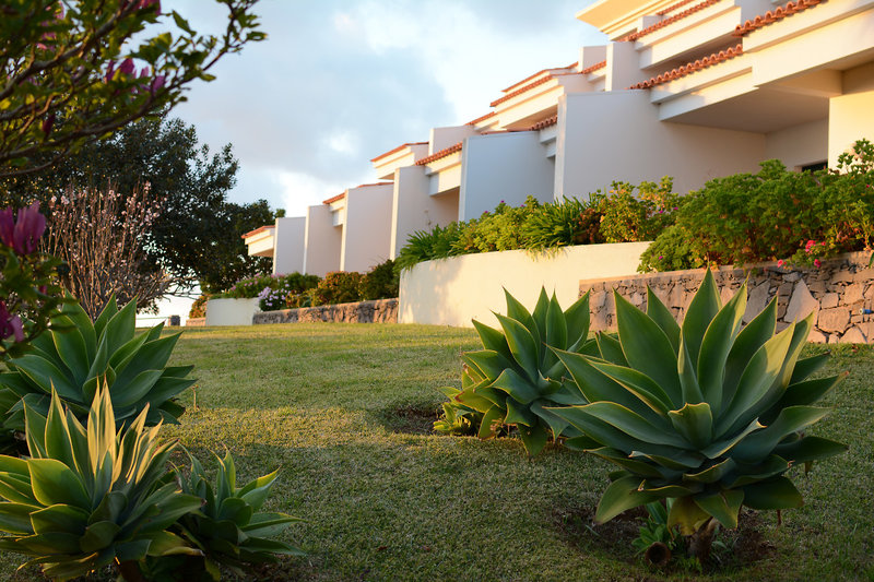 Jardim Atlantico 18