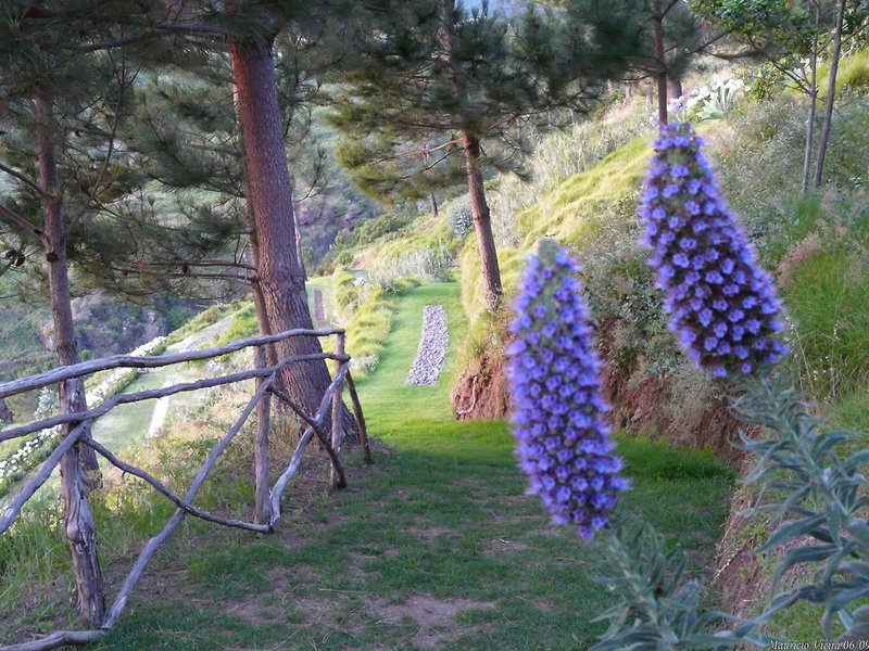 Jardim Atlantico 8