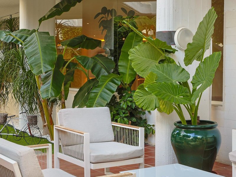 Roc Lago Rojo - Erwachsenenhotel 25