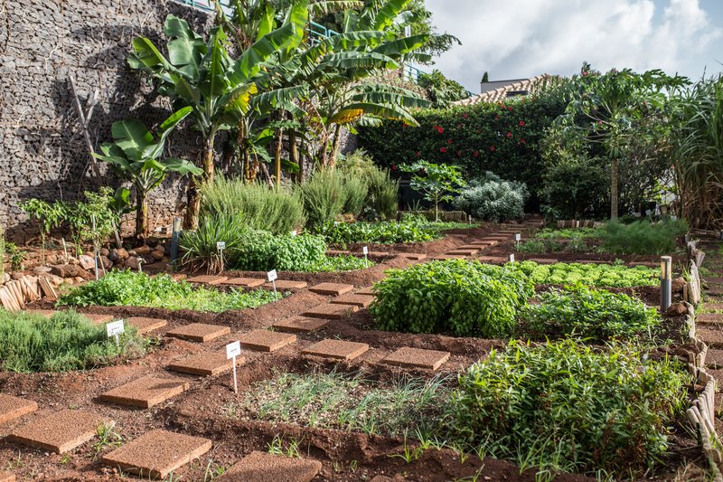 Four Views Oasis 170