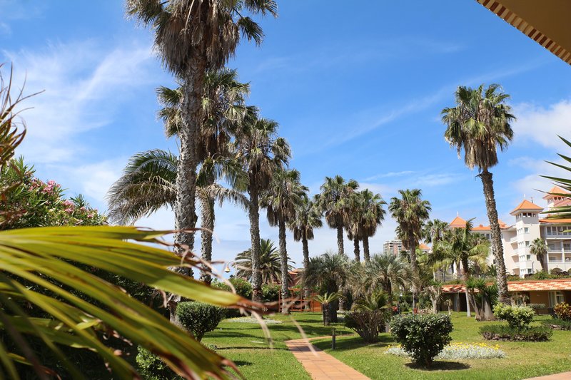 Four Views Oasis 174