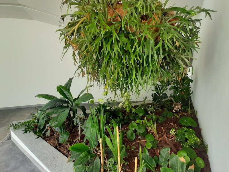 Roca Mar Lido Resorts - Roca Mar Hotel 4