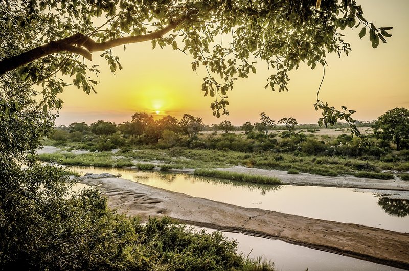Singita Sabi Sand 7