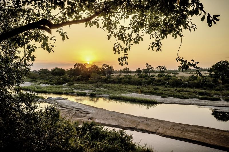 Singita Sabi Sand 20