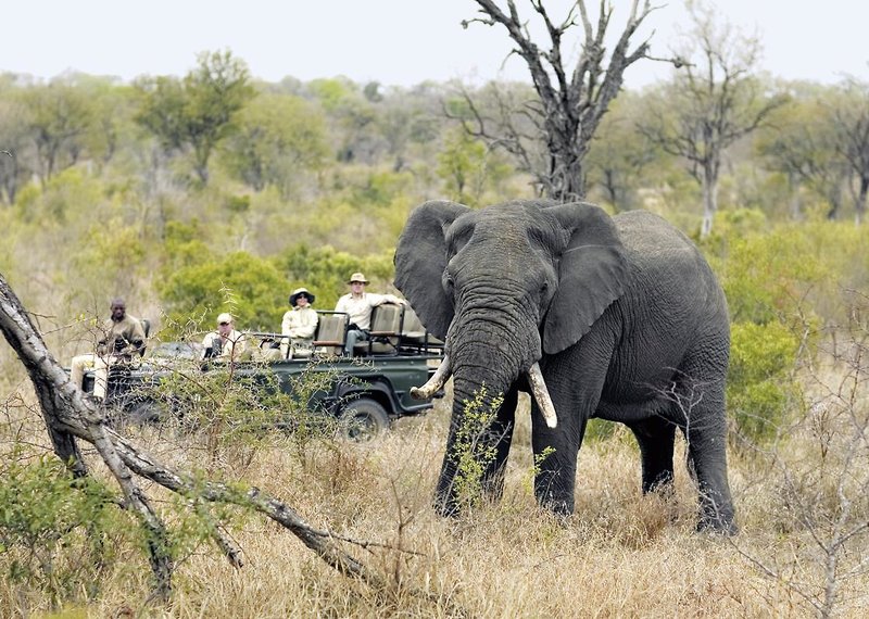 Singita Sabi Sand 35