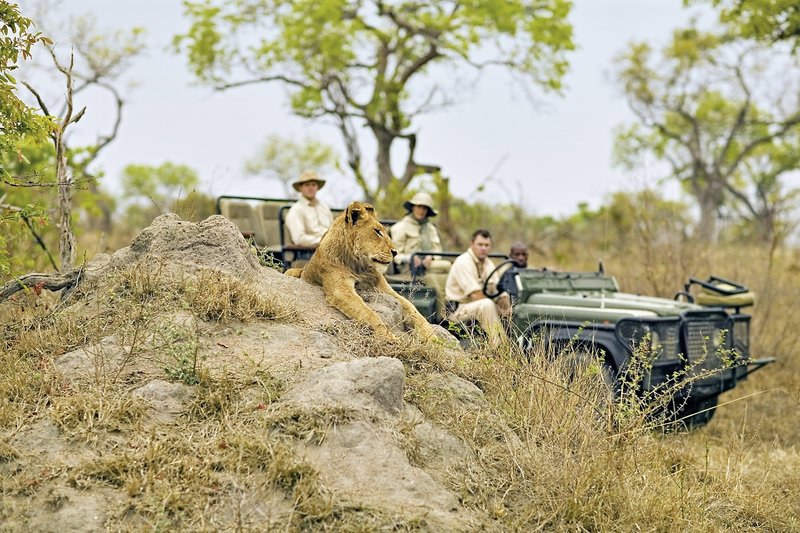 Singita Sabi Sand 36