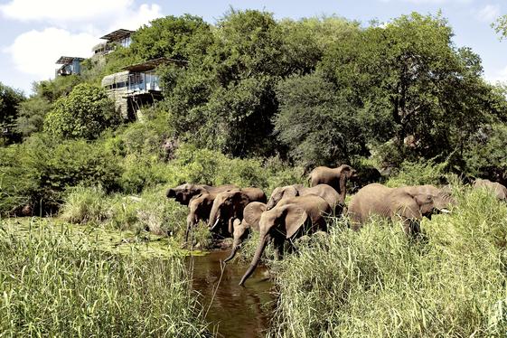 Singita Sabi Sand 41