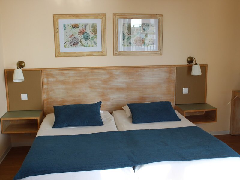 Dorisol Buganvilia 40