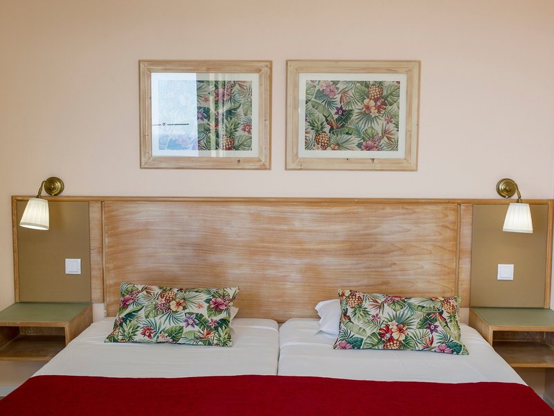 Dorisol Buganvilia 48