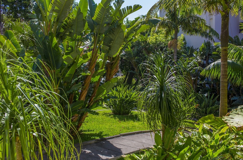 Dorisol Buganvilia Studio Hotel 3