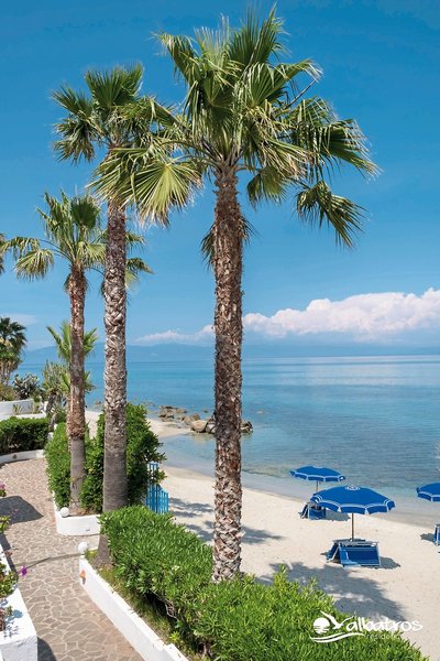 Residence Albatros 6