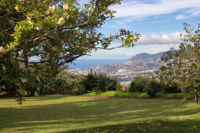 Casa Velha Do Palheiro 12